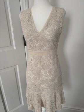 Alice + Olivia Cream Floral Lace V-Neck Mini Dress
